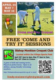 Come and Play Croquet