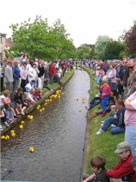 FAMILY FUNDAY HOG ROAST PLANS TAKING SHAPE